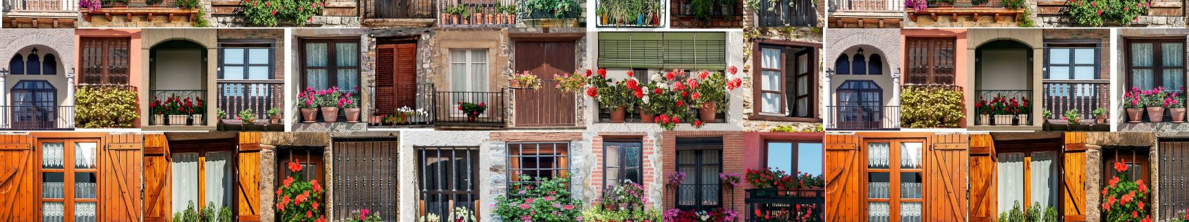 Servizi di derattizzazioni e disinfestazione per Privati e Condomini a Venezia e isole